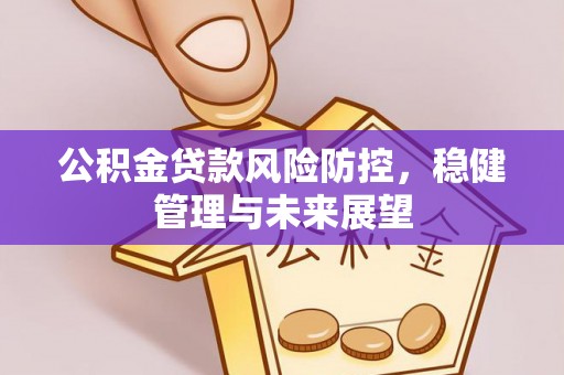 大冶公积金贷款风险防控，稳健管理与未来展望