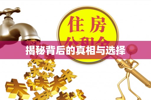 大冶揭秘背后的真相与选择