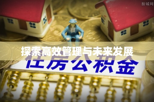 大冶探索高效管理与未来发展