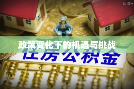 大冶政策变化下的机遇与挑战