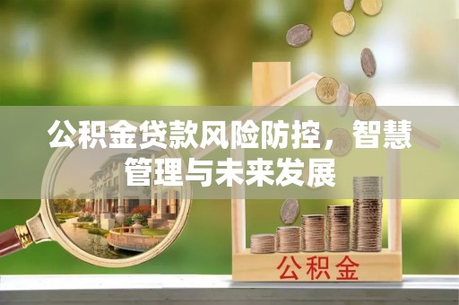 大冶公积金贷款风险防控，智慧管理与未来发展