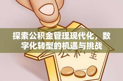 大冶探索公积金管理现代化，数字化转型的机遇与挑战