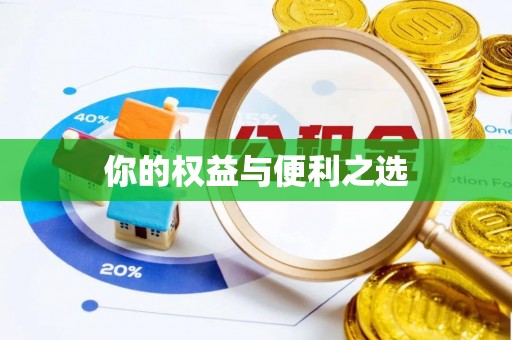 大冶你的权益与便利之选