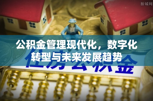 大冶公积金管理现代化，数字化转型与未来发展趋势