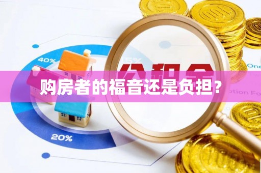 大冶购房者的福音还是负担？