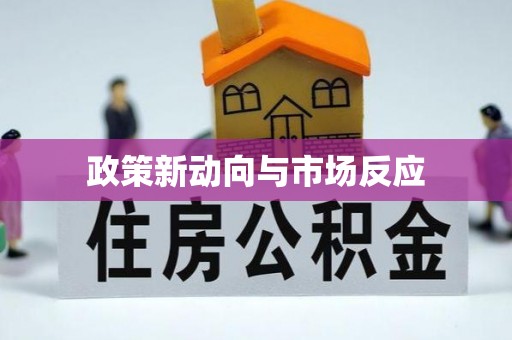 大冶政策新动向与市场反应