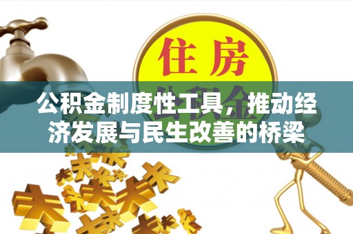 大冶公积金制度性工具，推动经济发展与民生改善的桥梁