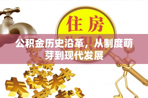大冶公积金历史沿革，从制度萌芽到现代发展