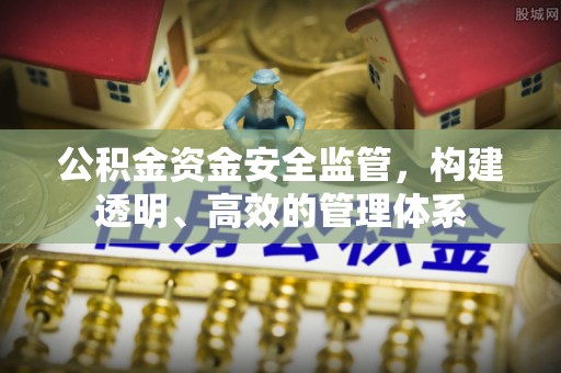 大冶公积金资金安全监管，构建透明、高效的管理体系