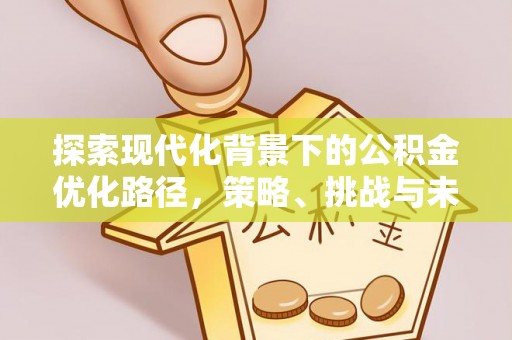 大冶探索现代化背景下的公积金优化路径，策略、挑战与未来展望