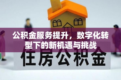 大冶公积金服务提升，数字化转型下的新机遇与挑战