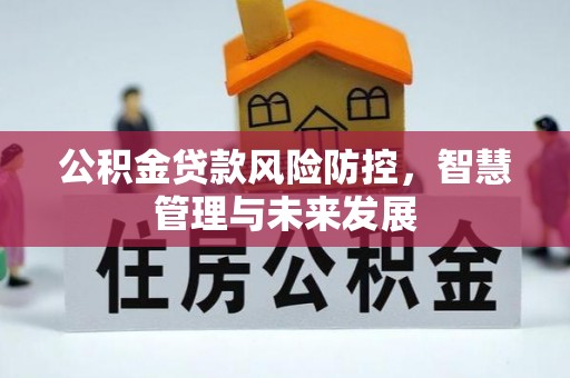 大冶公积金贷款风险防控，智慧管理与未来发展