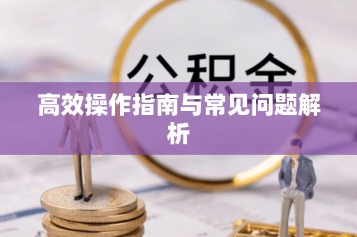 大冶高效操作指南与常见问题解析
