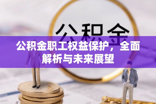 大冶公积金职工权益保护，全面解析与未来展望