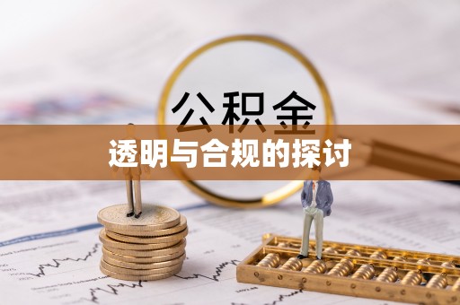 大冶透明与合规的探讨