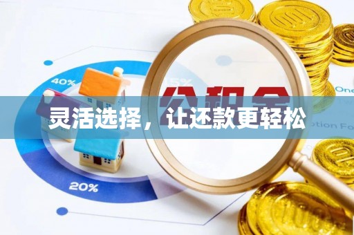 大冶灵活选择，让还款更轻松