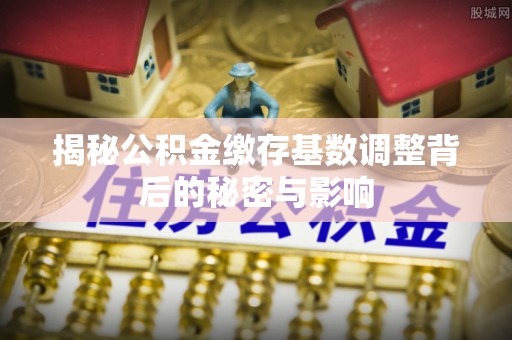 大冶揭秘公积金缴存基数调整背后的秘密与影响
