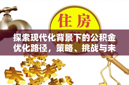大冶探索现代化背景下的公积金优化路径，策略、挑战与未来展望