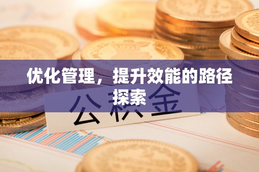 大冶优化管理，提升效能的路径探索
