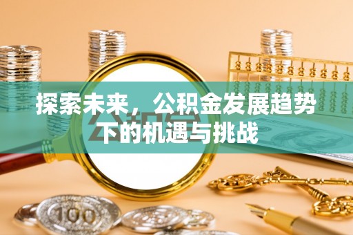 大冶探索未来，公积金发展趋势下的机遇与挑战