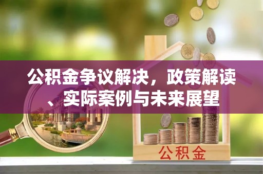 大冶公积金争议解决，政策解读、实际案例与未来展望