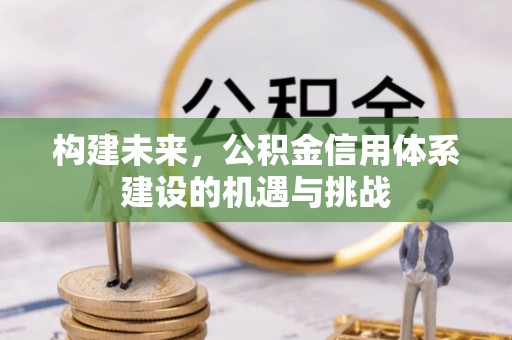 大冶构建未来，公积金信用体系建设的机遇与挑战