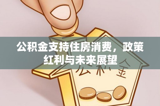 大冶公积金支持住房消费，政策红利与未来展望