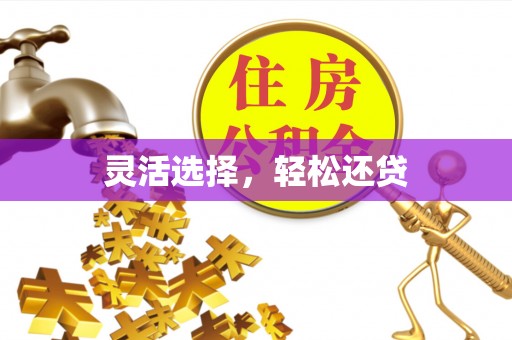 大冶灵活选择，轻松还贷