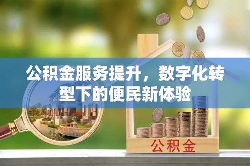 大冶公积金服务提升，数字化转型下的便民新体验