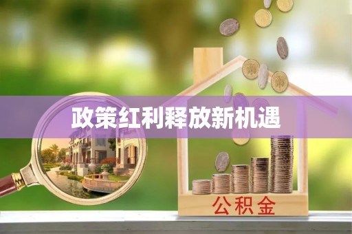 大冶政策红利释放新机遇