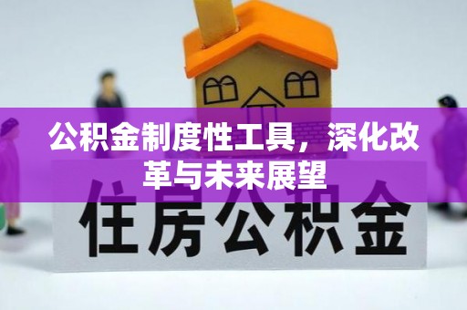 大冶公积金制度性工具，深化改革与未来展望