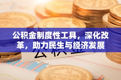 大冶公积金制度性工具，深化改革，助力民生与经济发展