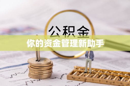 大冶你的资金管理新助手