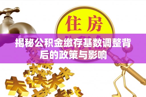 大冶揭秘公积金缴存基数调整背后的政策与影响