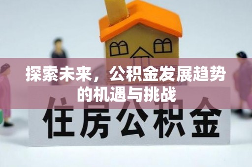 大冶探索未来，公积金发展趋势的机遇与挑战