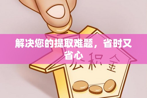 大冶解决您的提取难题，省时又省心