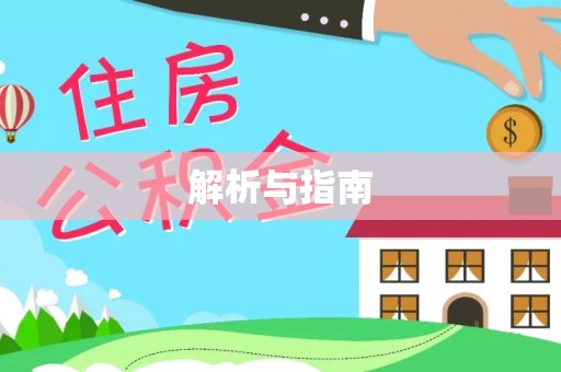 大冶解析与指南