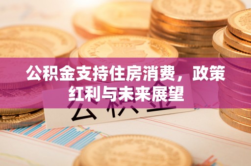 大冶公积金支持住房消费，政策红利与未来展望