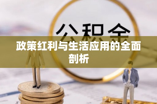 大冶政策红利与生活应用的全面剖析