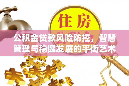 大冶公积金贷款风险防控，智慧管理与稳健发展的平衡艺术