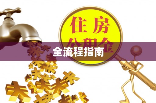 大冶全流程指南