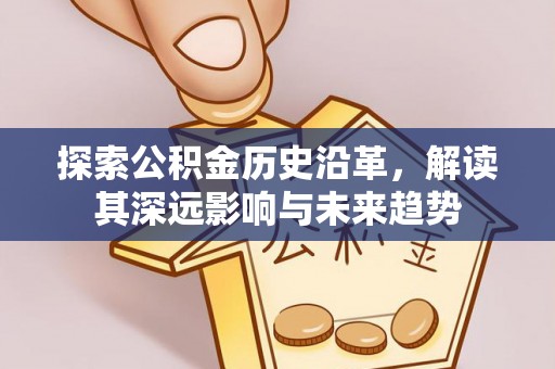 大冶探索公积金历史沿革，解读其深远影响与未来趋势