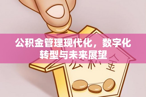 大冶公积金管理现代化，数字化转型与未来展望