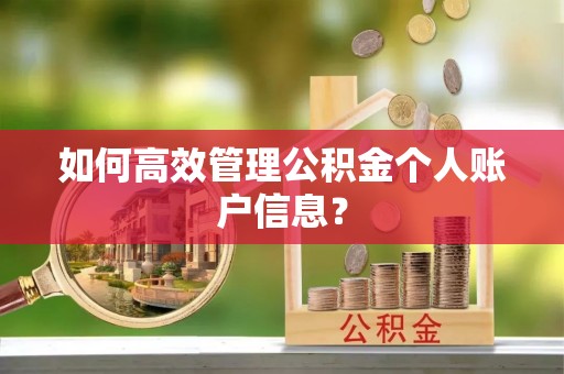 大冶如何高效管理公积金个人账户信息？