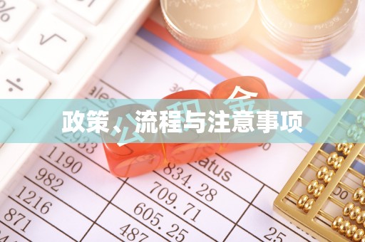 大冶政策、流程与注意事项