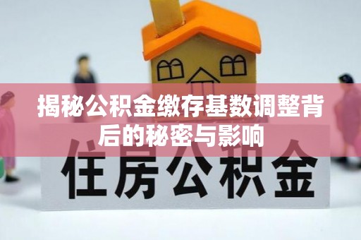 大冶揭秘公积金缴存基数调整背后的秘密与影响