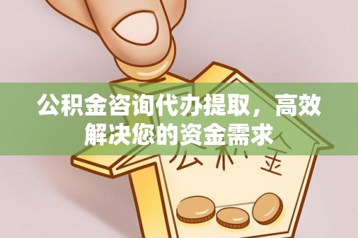 大冶公积金咨询代办提取，高效解决您的资金需求