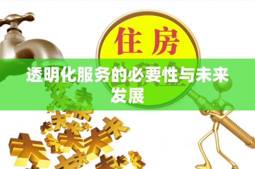 大冶透明化服务的必要性与未来发展