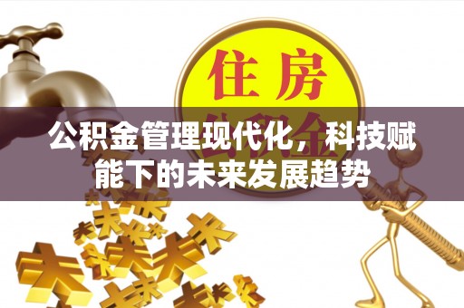 大冶公积金管理现代化，科技赋能下的未来发展趋势