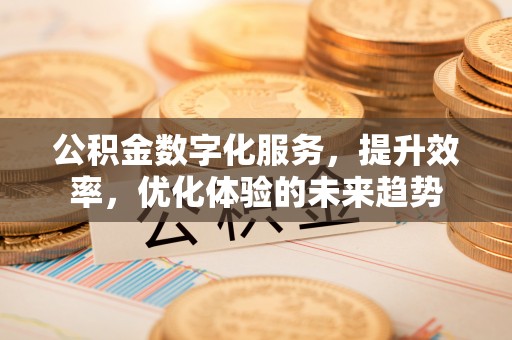 大冶公积金数字化服务，提升效率，优化体验的未来趋势
